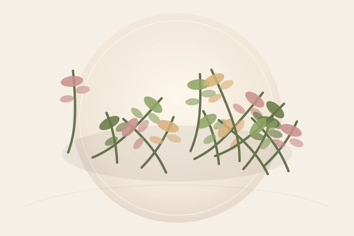 Avena Sativa (Oat) Kernel Extract ingredient reference
