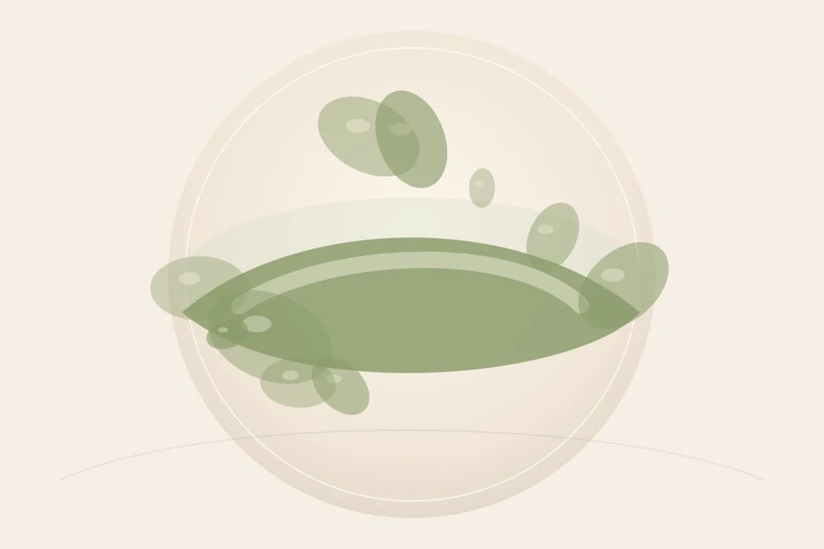 Avocado Oil ingredient reference