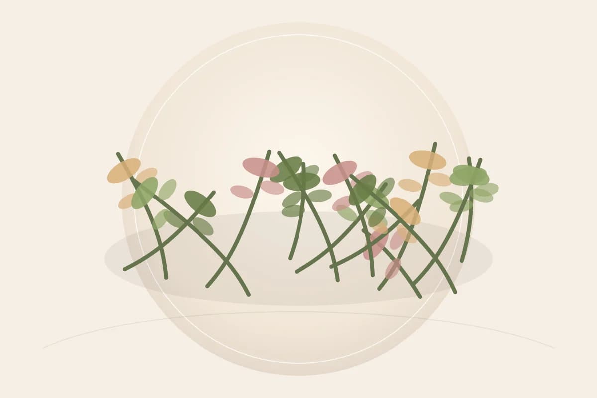 Bamboo Extract (Bambusa spp.) ingredient reference