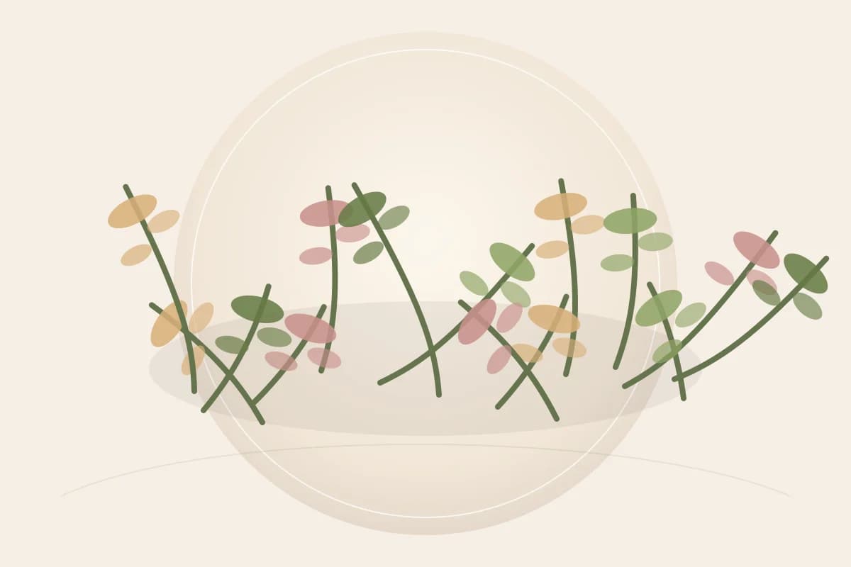 Basil Flower/Leaf Extract ingredient reference