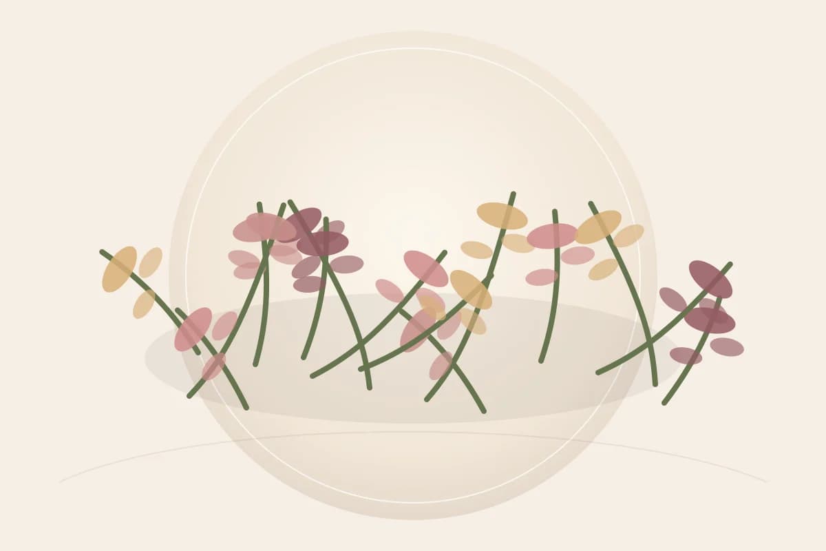 Fragrance ingredient reference