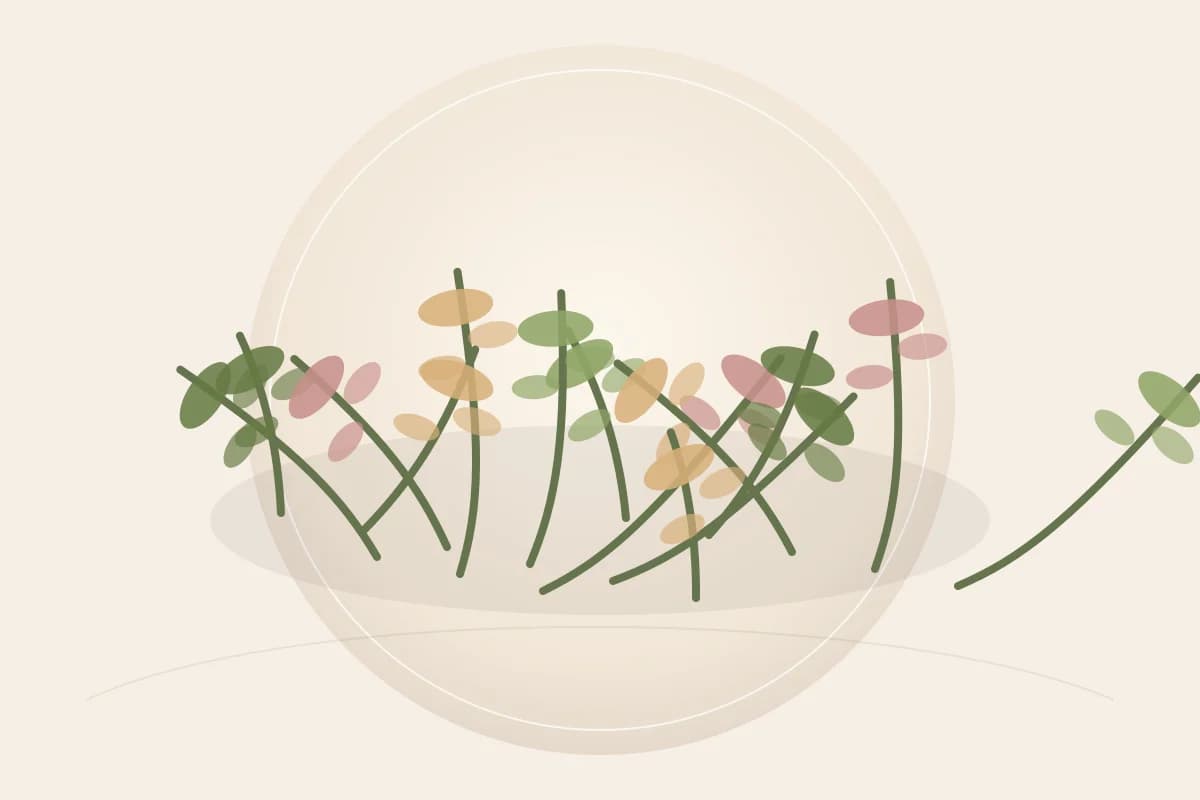 Honey ingredient reference
