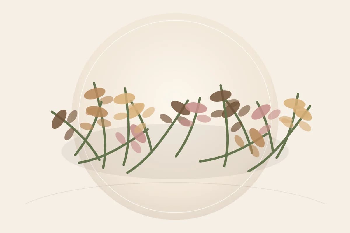 Lavender Buds ingredient reference