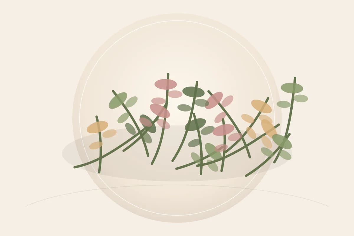 Neem Flower Extract ingredient reference