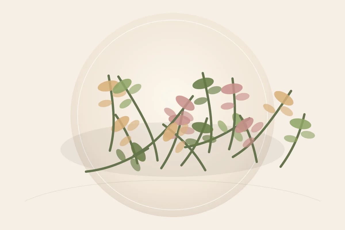 Oryza Sativa (Rice) Extract ingredient reference