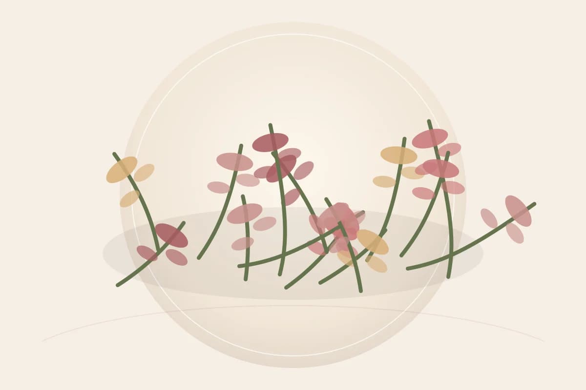 Rosemary Officinalis (Rosemary) Extract ingredient reference
