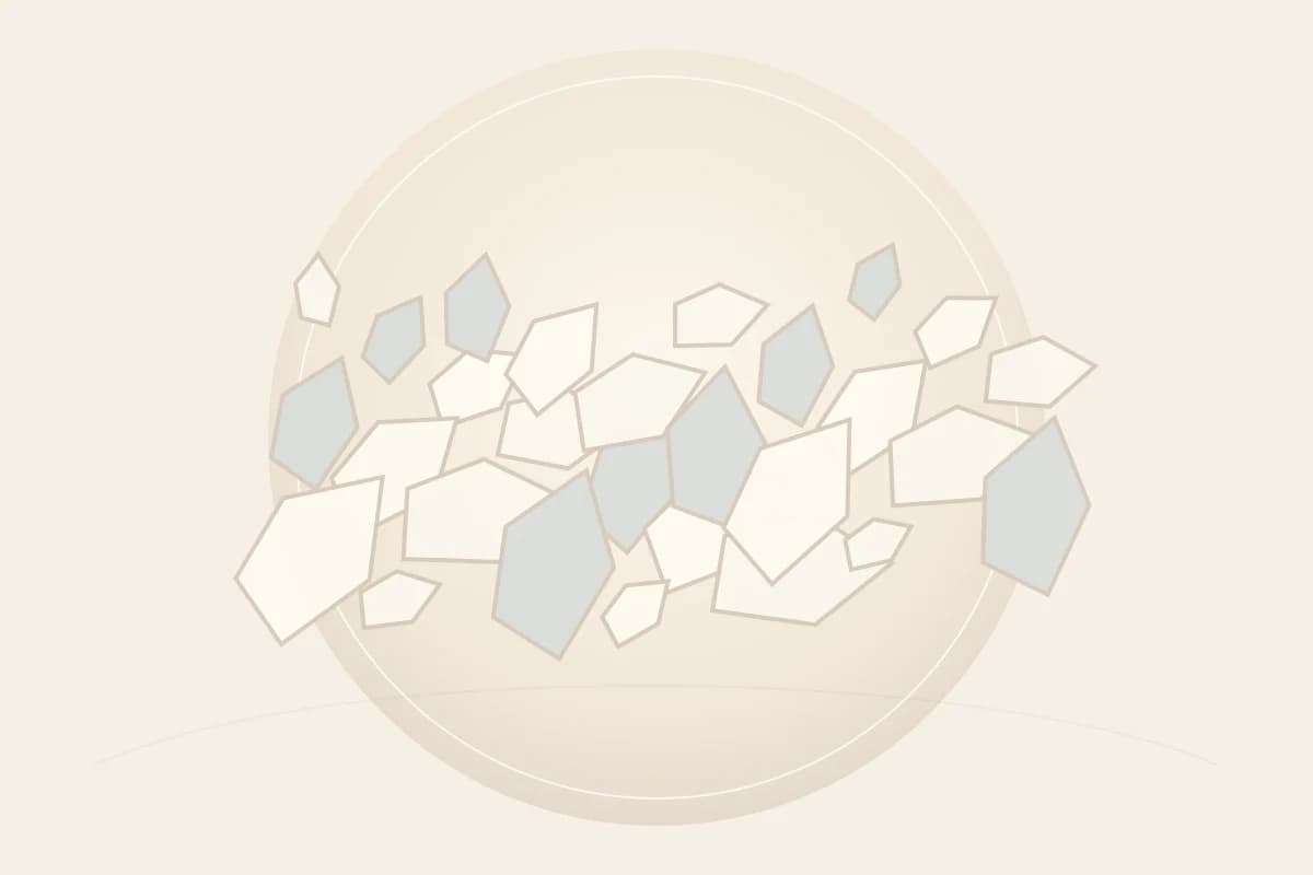 Sodium Bicarbonate ingredient reference