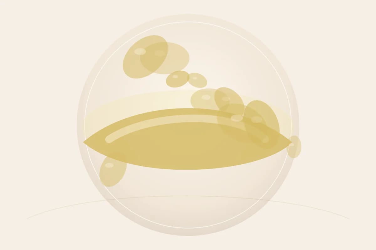 Squalane ingredient reference