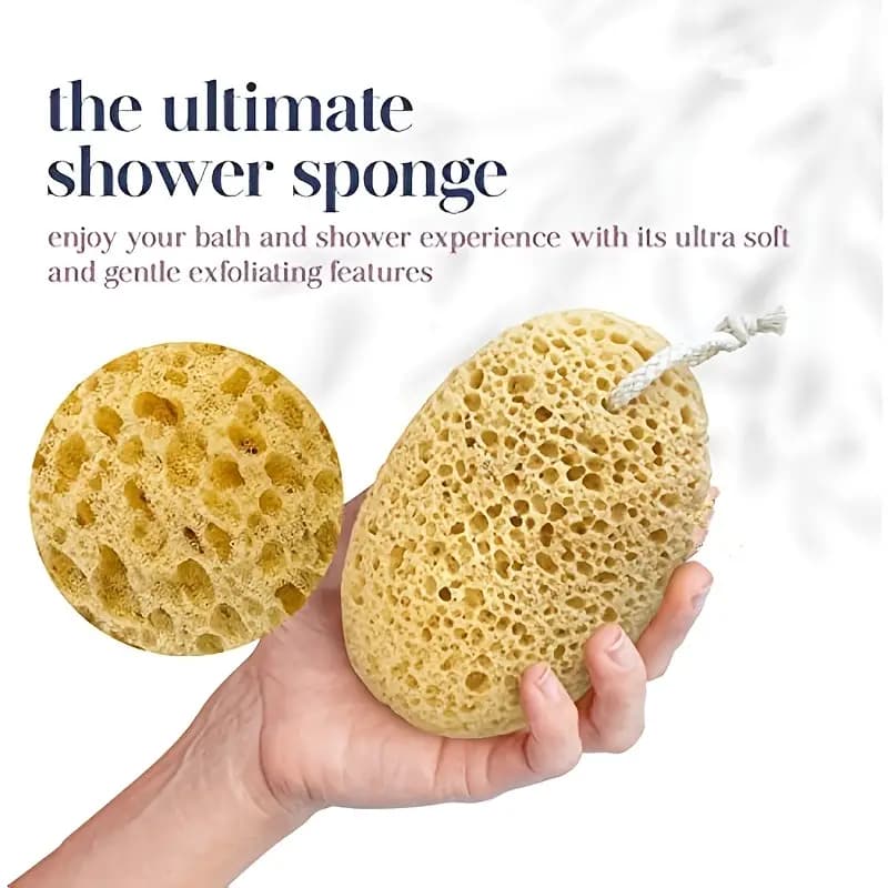 Natural Seaweed Sponge