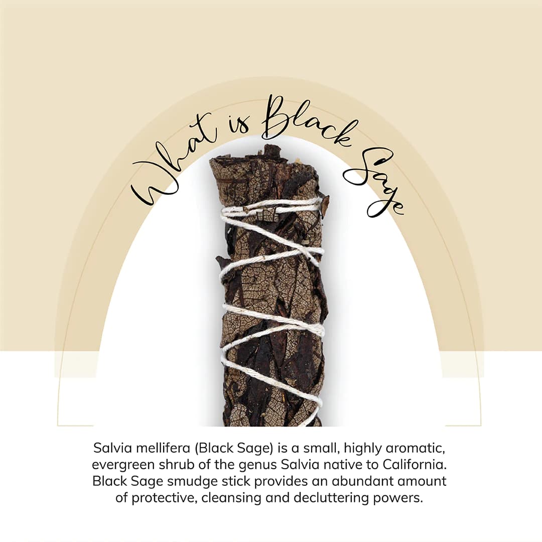 Black Sage Smudge Stick