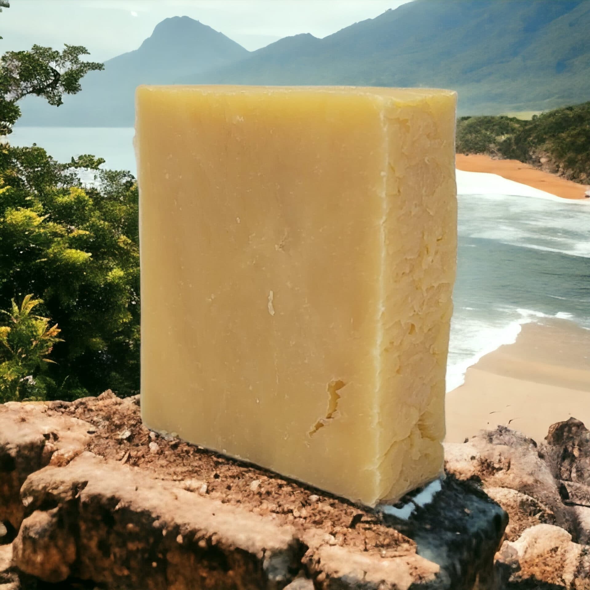 Florida Man Handmade Soap